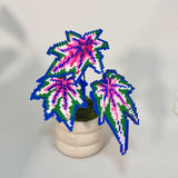 Creait Robert Gordon Begonia Pixel Plant Material Pack