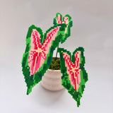 Creait Wild  Fire Caladium Pixel Plant Material Pack
