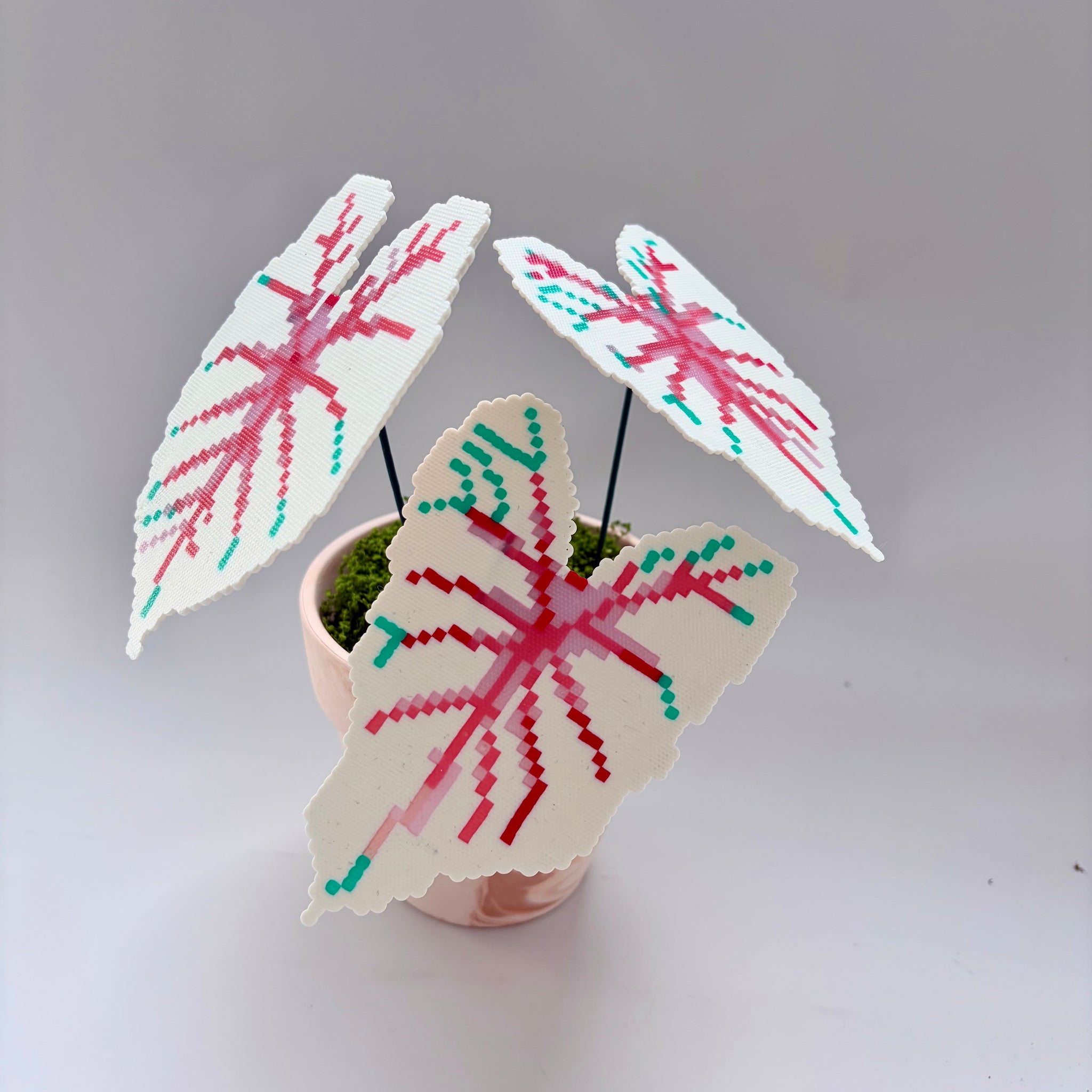 Creait 👸 White Queen Caladium Pixel Plant Material Pack