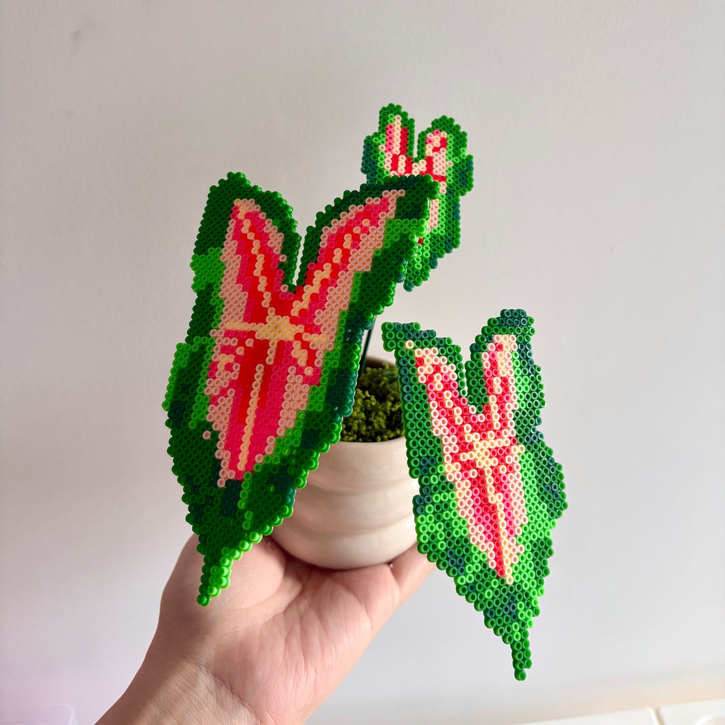 Creait Wild  Fire Caladium Pixel Plant Material Pack