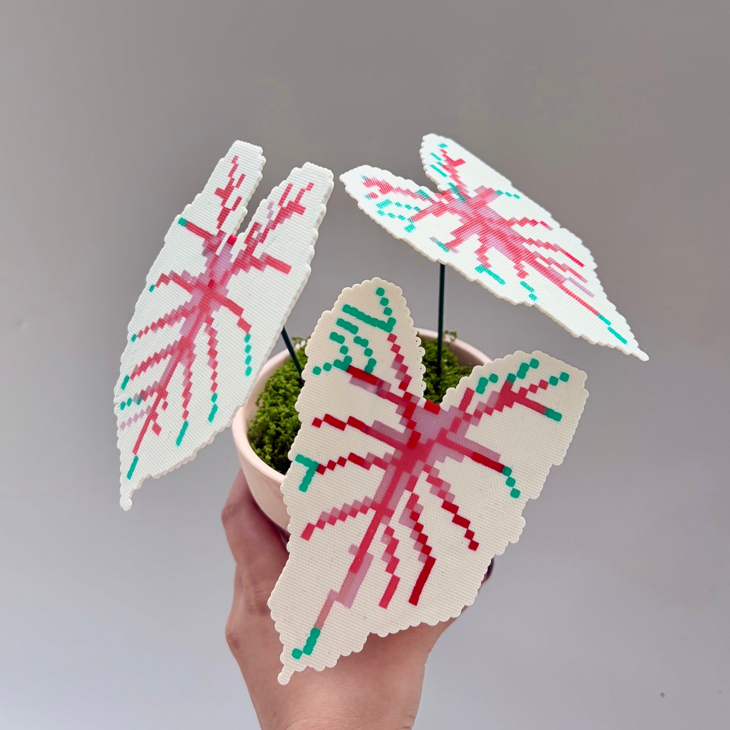 Creait 👸 White Queen Caladium Pixel Plant Material Pack