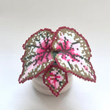 Creait ♥️ Red Peach Begonia Pixel Plant Material Pack